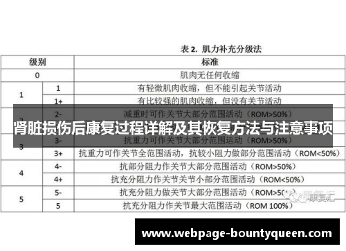 肾脏损伤后康复过程详解及其恢复方法与注意事项