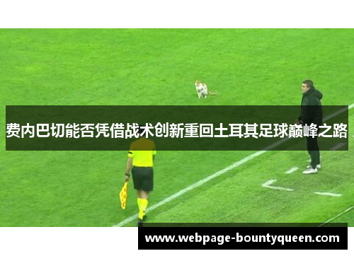 费内巴切能否凭借战术创新重回土耳其足球巅峰之路 费内巴切能否凭借战术创新重回土耳其足球巅峰之路