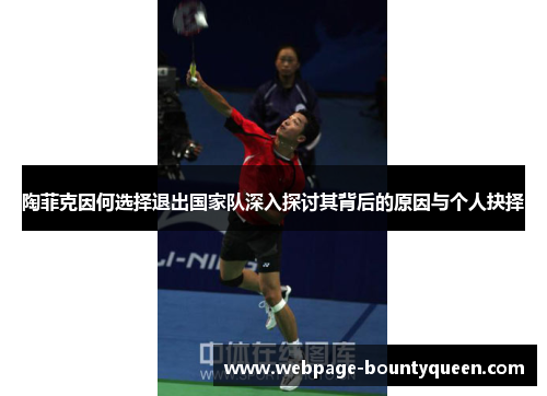 陶菲克因何选择退出国家队深入探讨其背后的原因与个人抉择