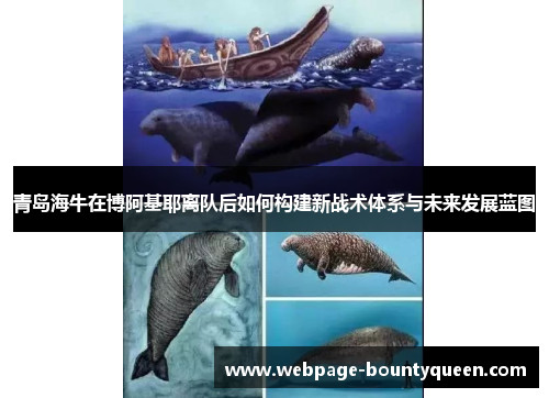 青岛海牛在博阿基耶离队后如何构建新战术体系与未来发展蓝图