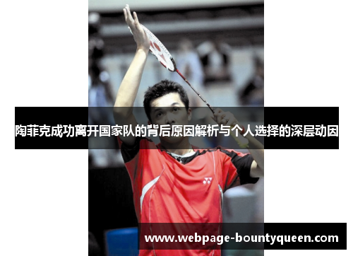 陶菲克成功离开国家队的背后原因解析与个人选择的深层动因